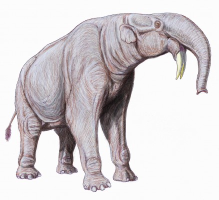 Deinotherium, gajah bergading cangkul