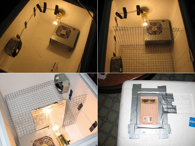 Inkubator sederhana dari box stereofoam