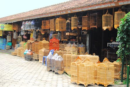 Pasar Burung Pasty Dongkelan Yogyakarta